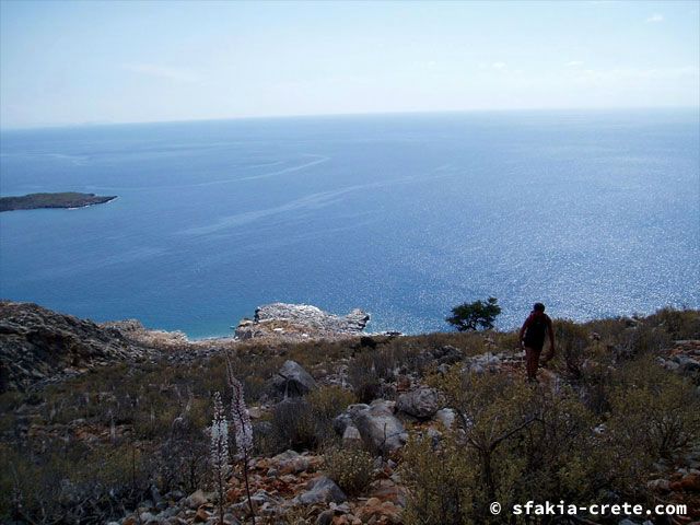 Photo report of a walk around Loutro, Sfakia, Crete, September 2008